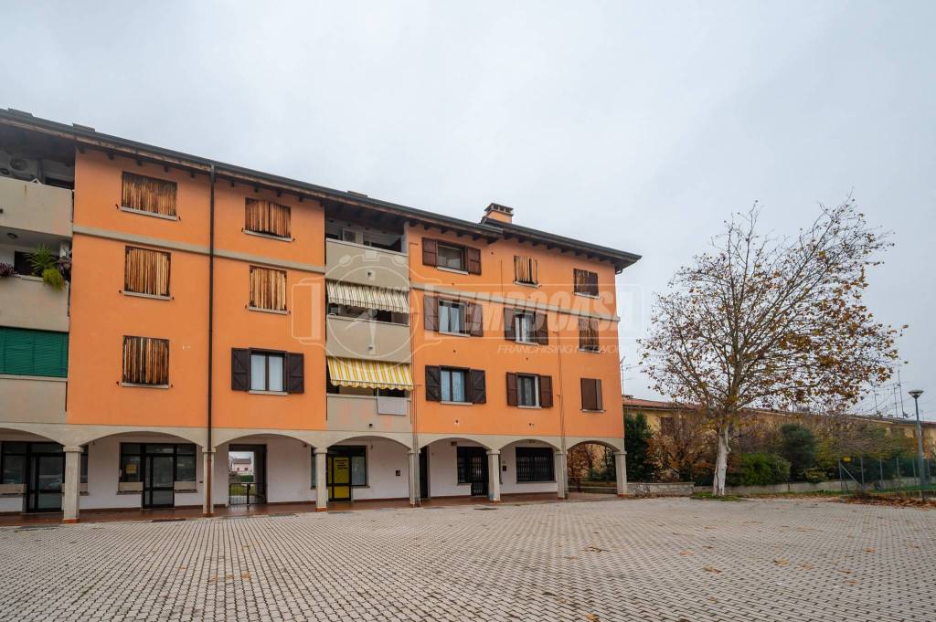 immagine annuncio 12 di 13