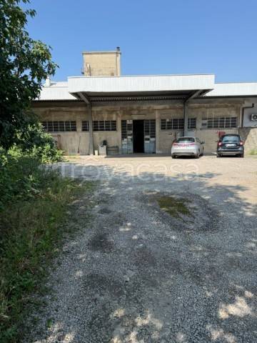 immagine annuncio 4 di 6