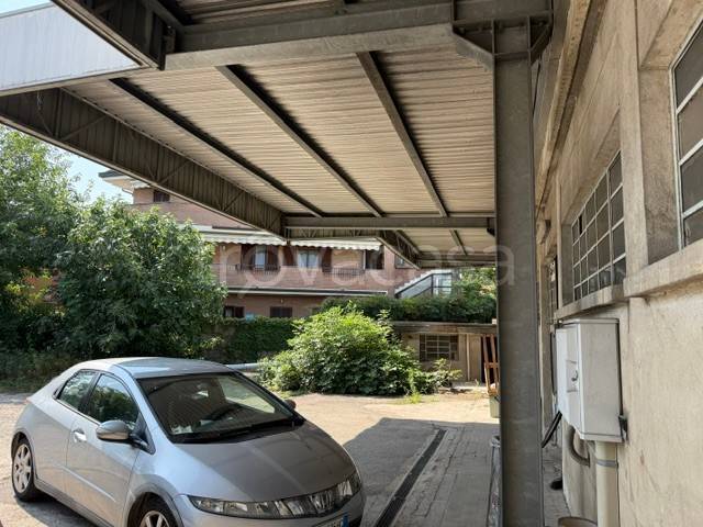 immagine annuncio 5 di 6