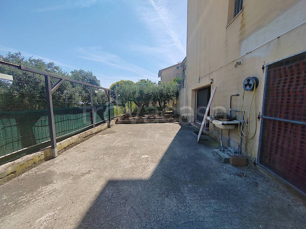 immagine annuncio 1 di 14
