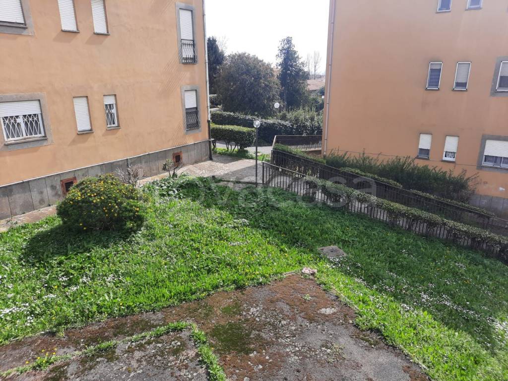 immagine annuncio 12 di 14