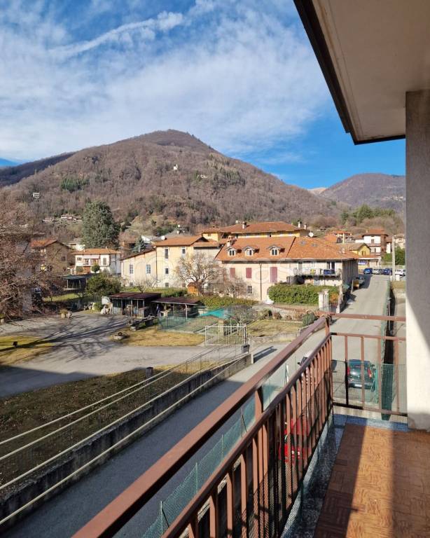 immagine annuncio 12 di 14
