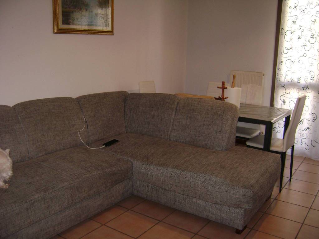 immagine annuncio 2 di 12