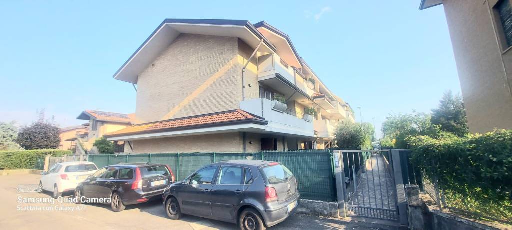 immagine annuncio 1 di 15