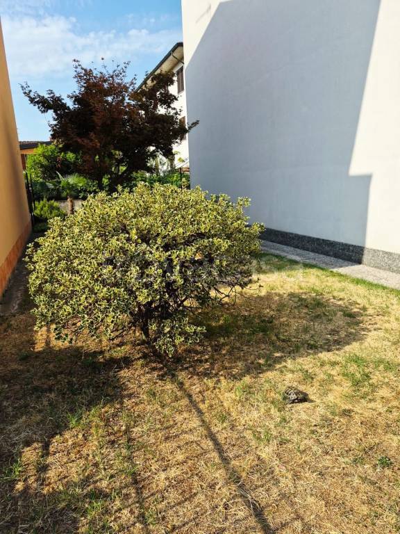 immagine annuncio 3 di 13