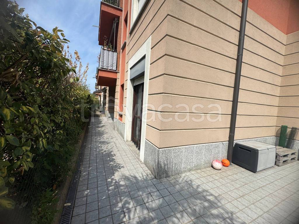 immagine annuncio 5 di 15