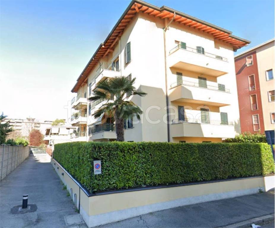 immagine annuncio 9 di 14