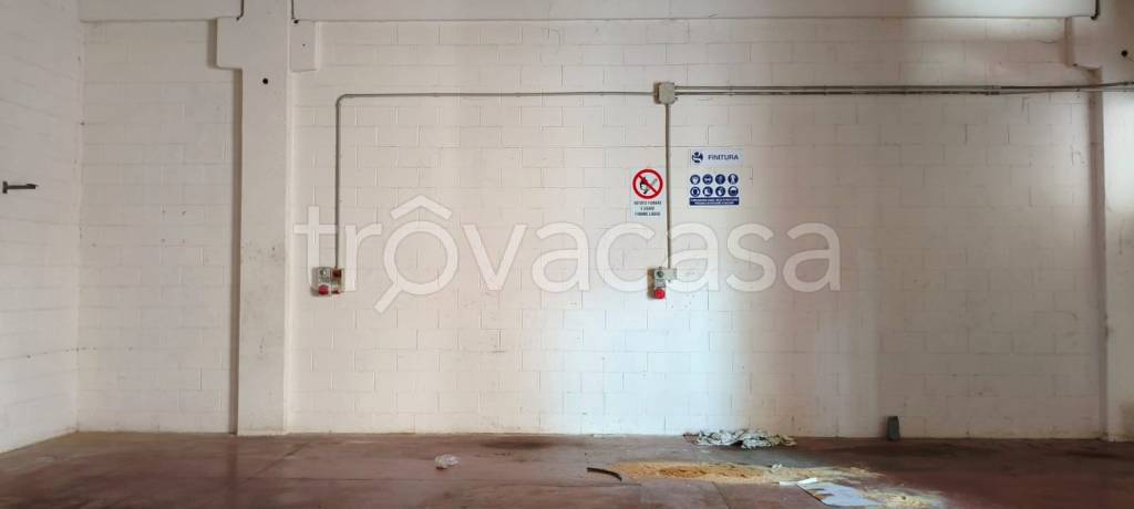 immagine annuncio 4 di 8