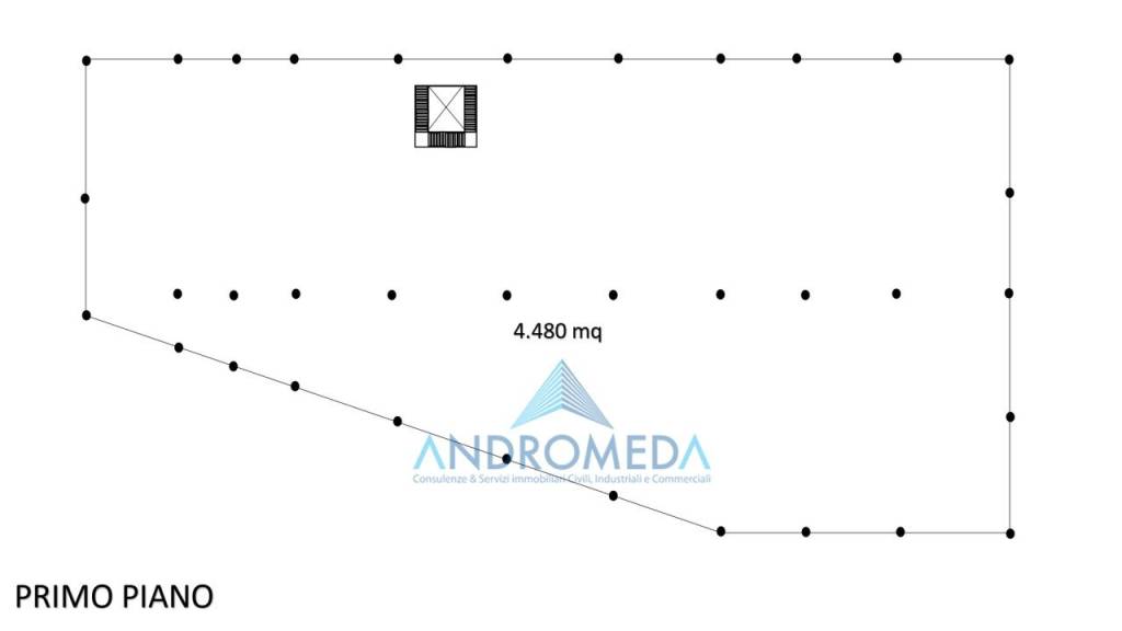 immagine annuncio 2 di 4