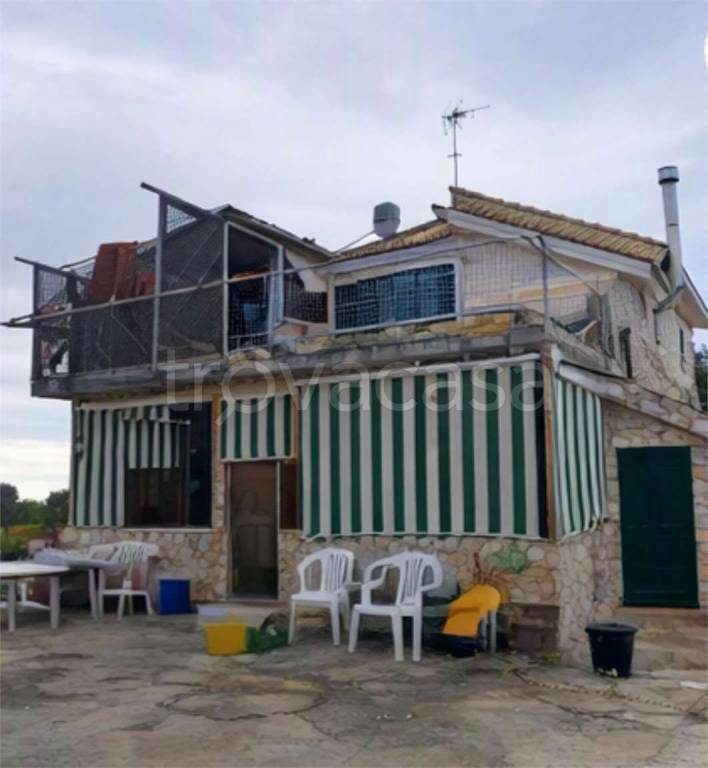 immagine annuncio 4 di 12