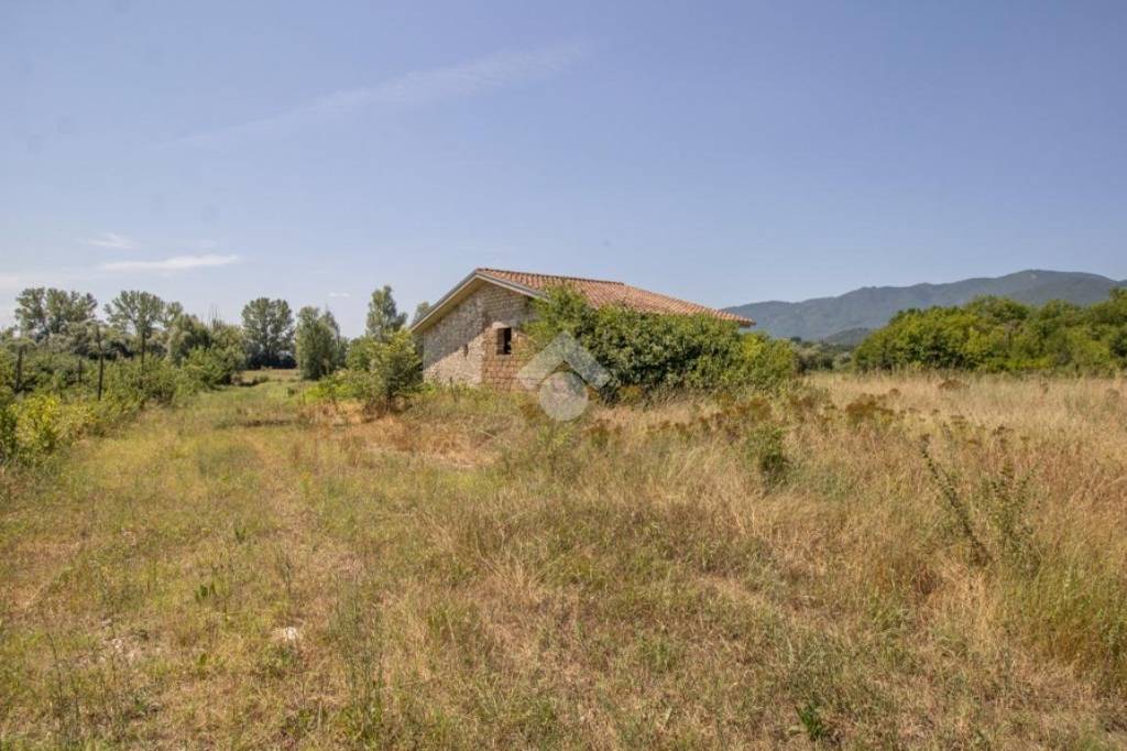 immagine annuncio 2 di 11