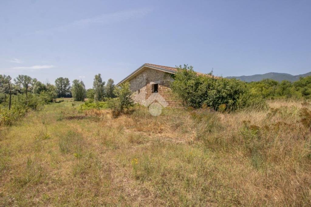 immagine annuncio 7 di 11