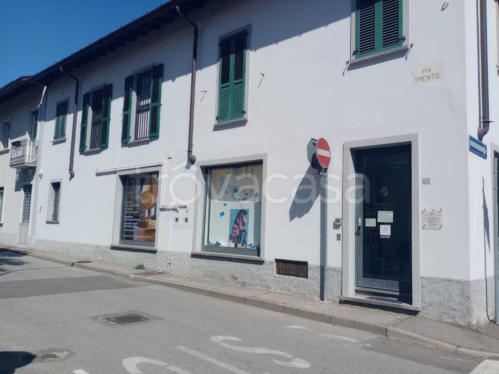 immagine annuncio 3 di 12
