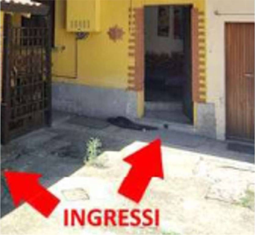 immagine annuncio 10 di 14