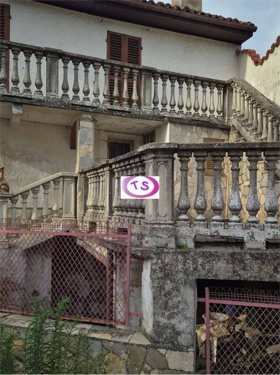 immagine annuncio 5 di 6