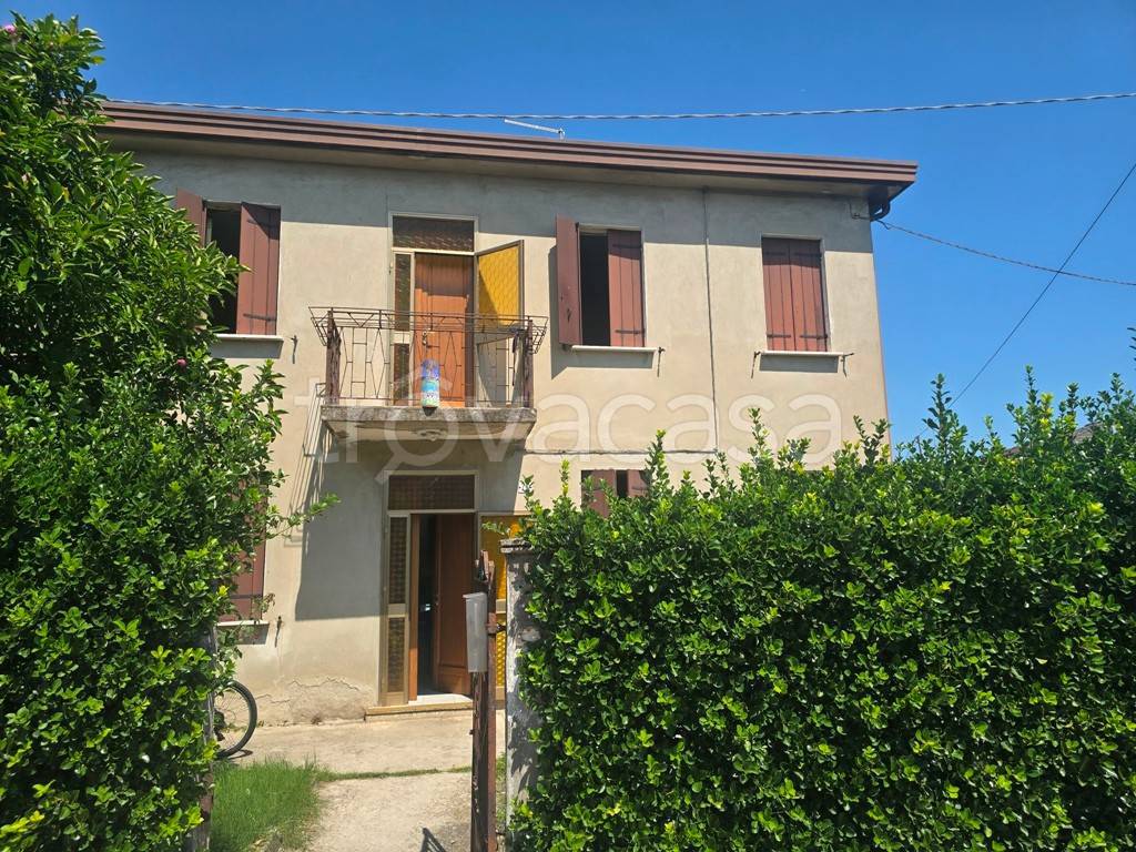immagine annuncio 4 di 8