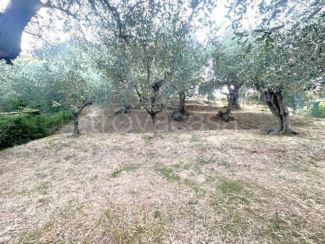 immagine annuncio 7 di 9