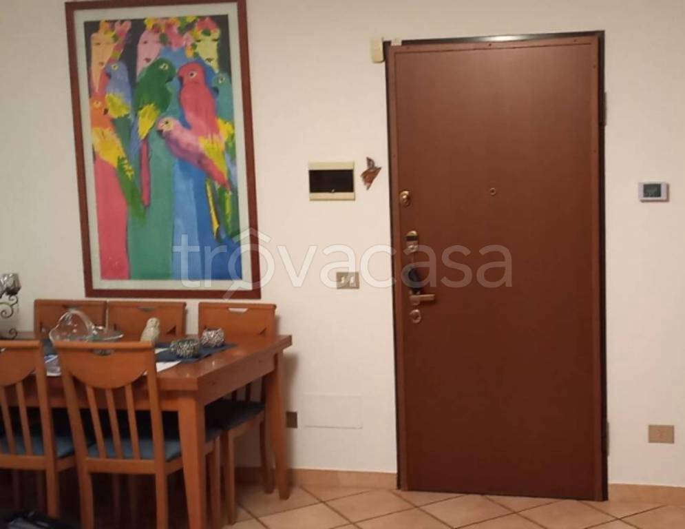 immagine annuncio 5 di 14