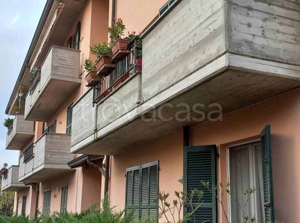 immagine annuncio 6 di 14