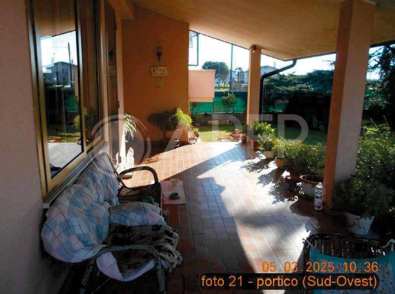 immagine annuncio 3 di 14