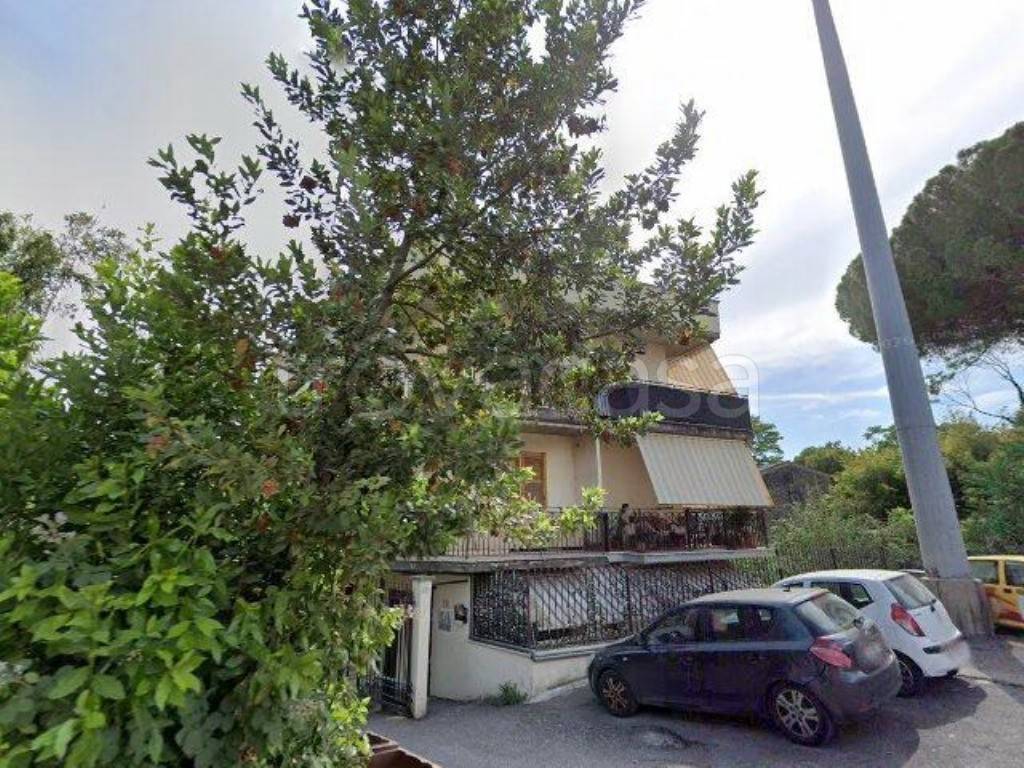 immagine annuncio 3 di 4