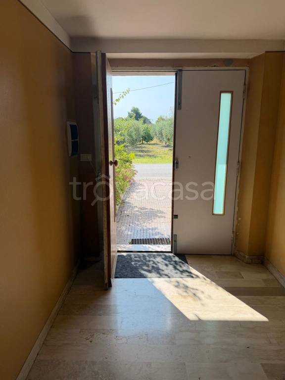 immagine annuncio 1 di 14