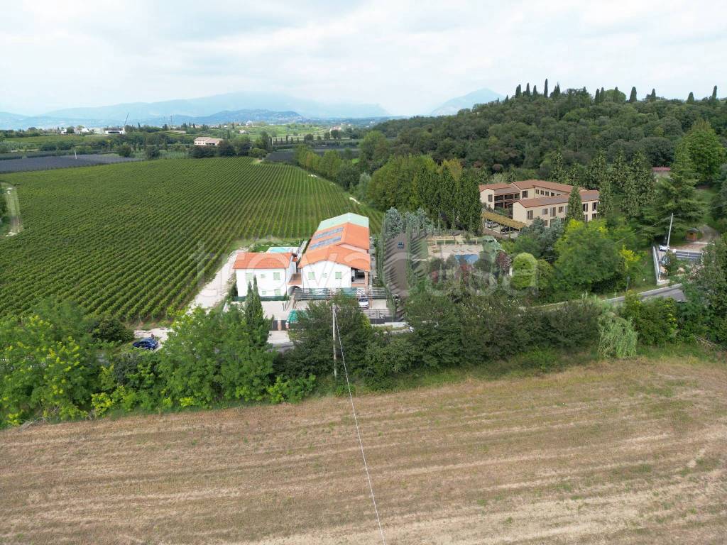 immagine annuncio 5 di 7