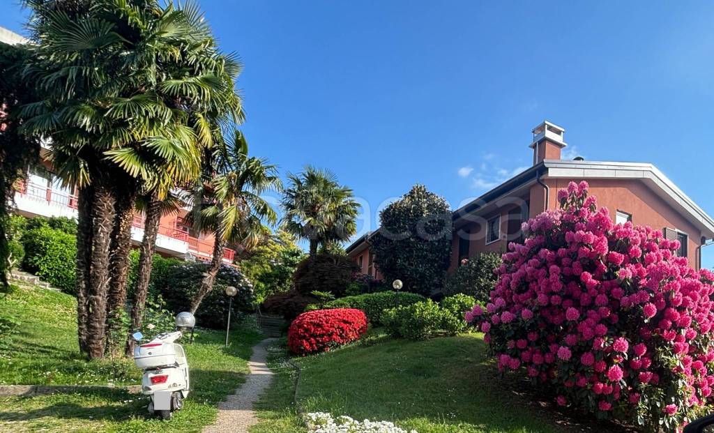 immagine annuncio 1 di 12