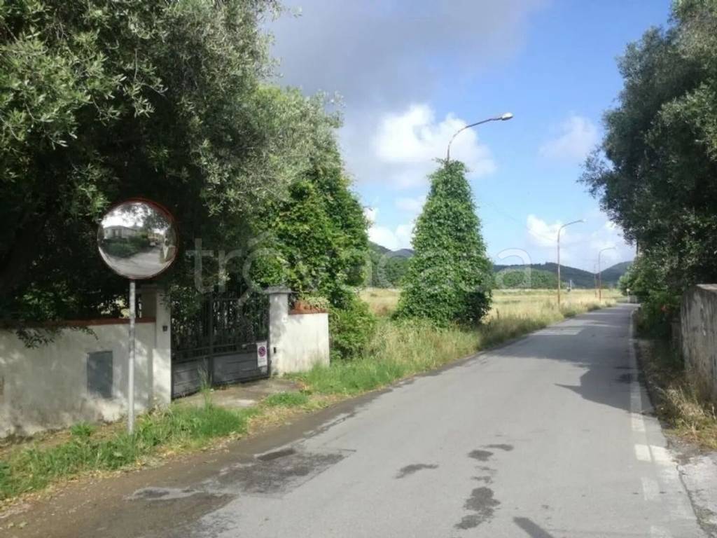 immagine annuncio 2 di 6