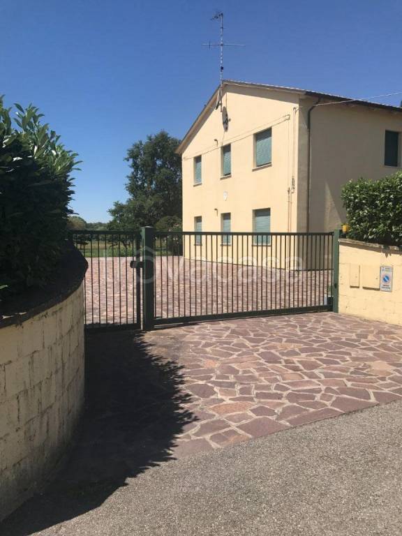 immagine annuncio 2 di 8
