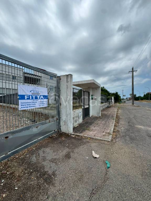 immagine annuncio 1 di 11