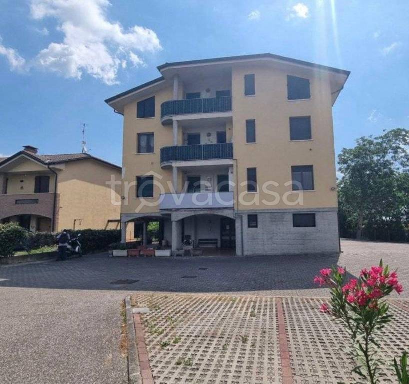 immagine annuncio 1 di 14