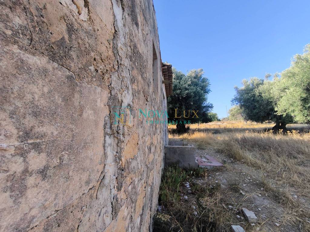immagine annuncio 6 di 12