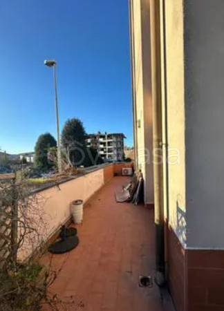 immagine annuncio 4 di 7