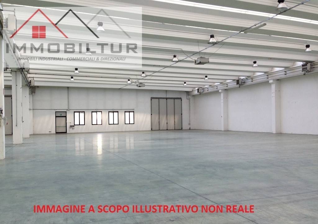immagine annuncio 2 di 6
