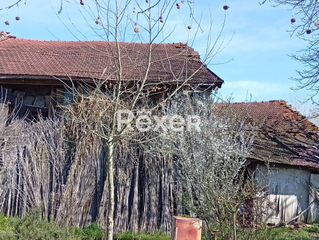 immagine annuncio 7 di 11