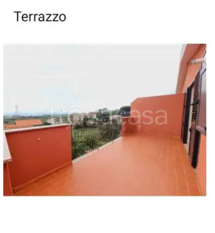 immagine annuncio 5 di 7
