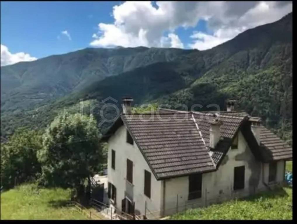 immagine annuncio 5 di 6