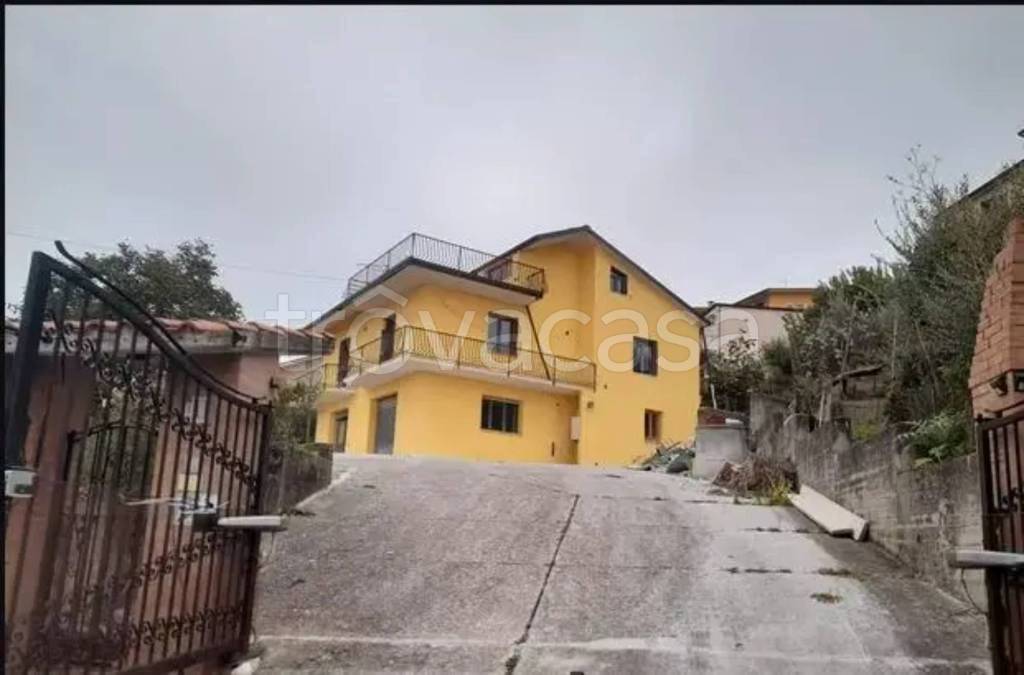 immagine annuncio 2 di 14