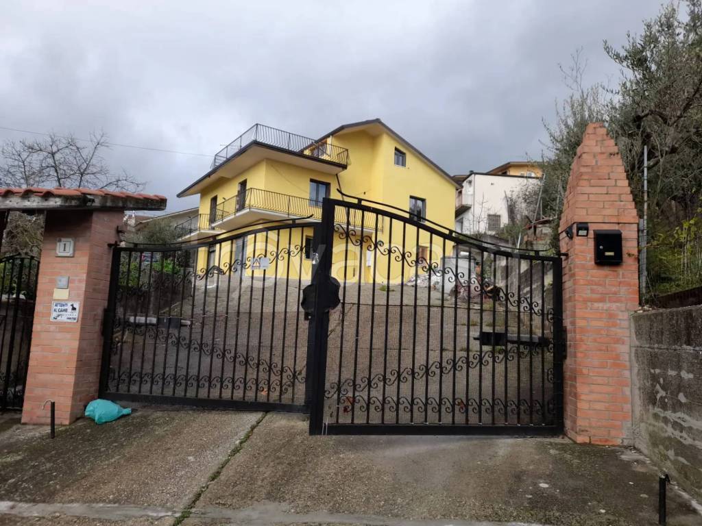 immagine annuncio 3 di 14