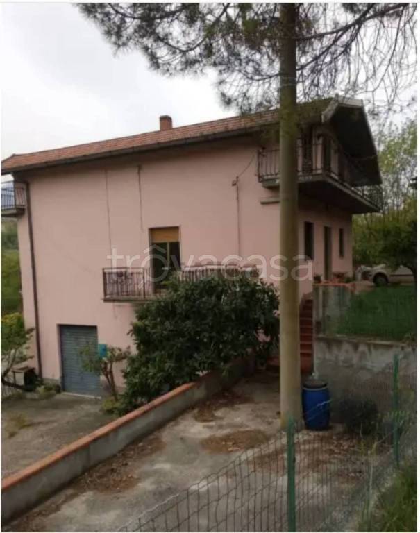 immagine annuncio 12 di 14