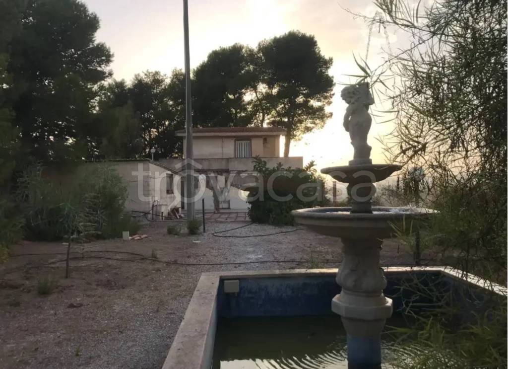 immagine annuncio 10 di 14