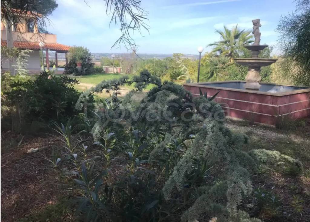 immagine annuncio 2 di 14