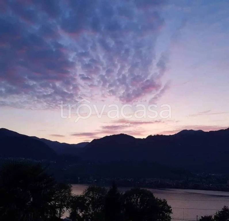 immagine annuncio 3 di 8
