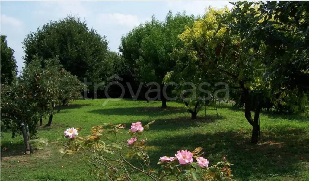 immagine annuncio 1 di 8