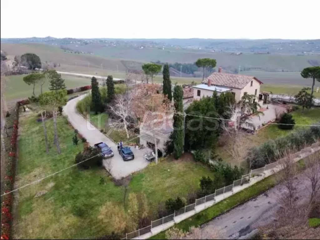 immagine annuncio 2 di 6