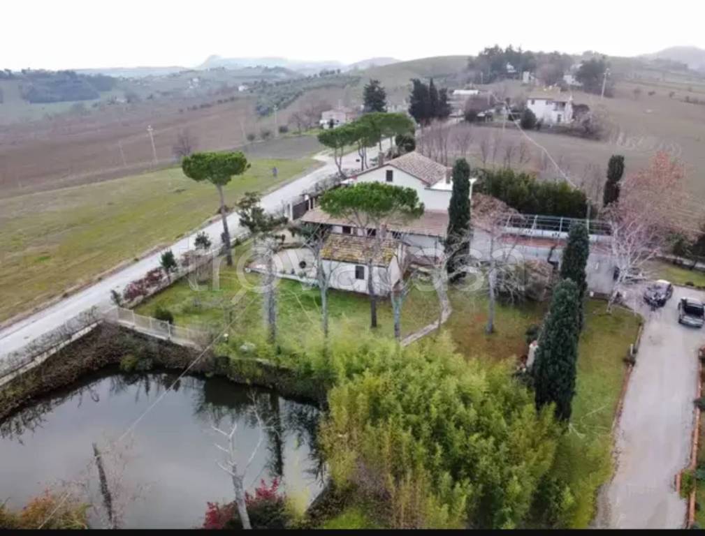 immagine annuncio 3 di 6