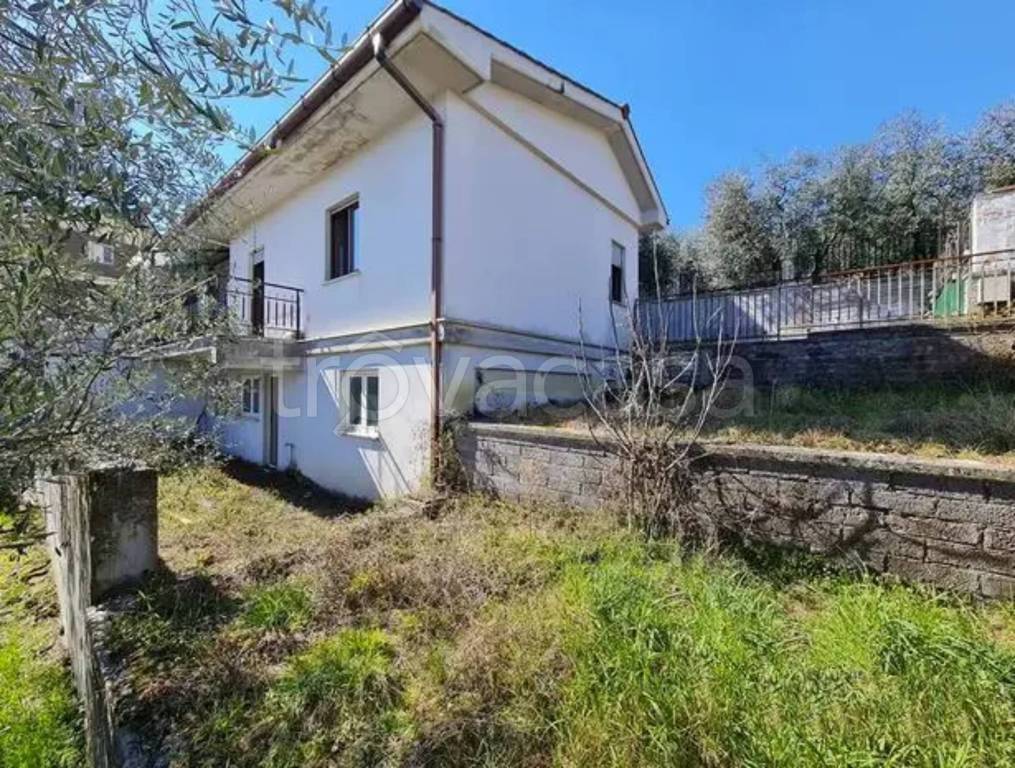 immagine annuncio 2 di 6