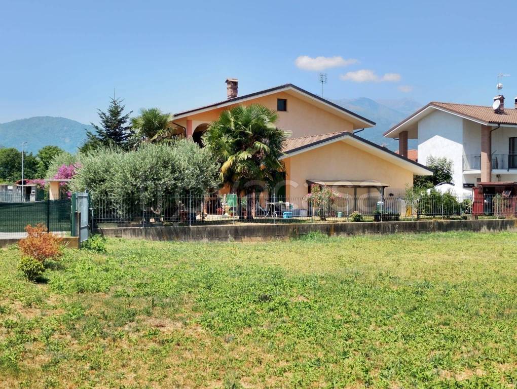 immagine annuncio 12 di 15
