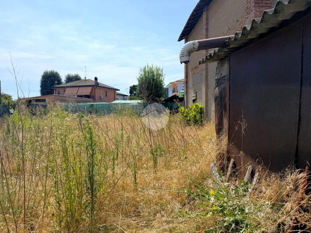 immagine annuncio 5 di 11
